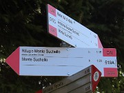 22 Seguiamo il sent. 519A